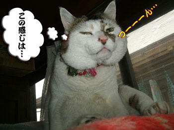 「つーーーん」って来るよね（笑）