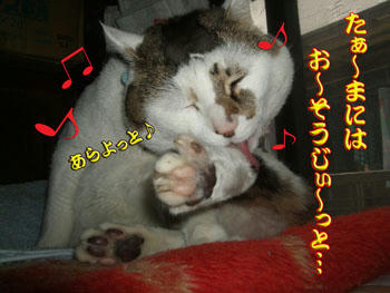毛繕いなんて珍しいじゃん♪
