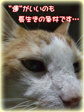 今日のどんこは「うんちょす」もいいよ(*^^)v