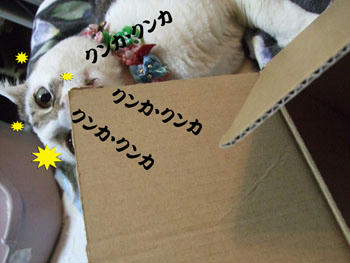 また目が血走ってるよ(-"-)