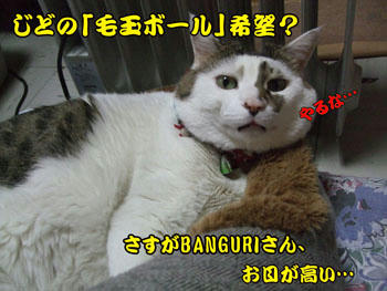 お目が高いかっ?(@_@;)