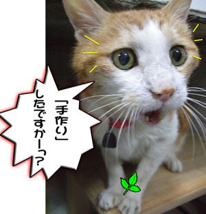 そうだよ～、凄いよね～