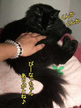 (*^^)/。・:*:・°★,。・:*:・°☆ｱﾘｶﾞﾄｰ