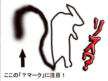 。。。。。。