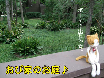 ここも広いのよ～！でっかいど～！