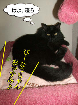 へ～い、寝ますよ～