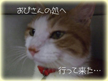 きっと一緒にいたんだね。。