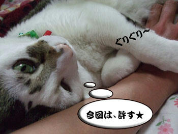 許すって？（笑）