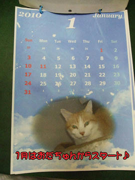 身内用に簡単なヤツ(。-_-。)
