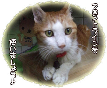 人間にも効くといいけどね(笑)