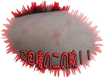 (￣□￣；)ギョッ　何なのよ～（泣）