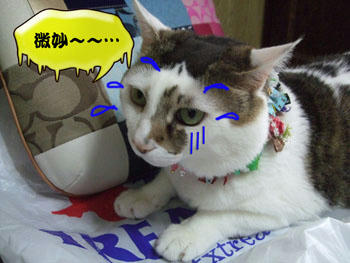 Σ(￣ε￣;|||･･･そゆこと言うな。。