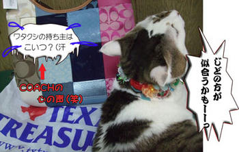 COACHIさん、違うから大丈夫だよ～