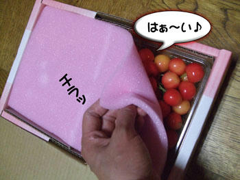 かわい子ちゃんが勢ぞろい♪