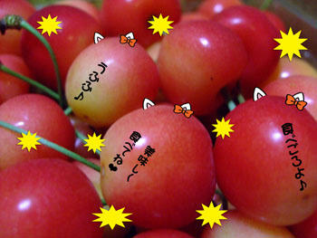 本当に食べごろだわさ～