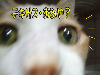 たまちゃん、近いよ~♪