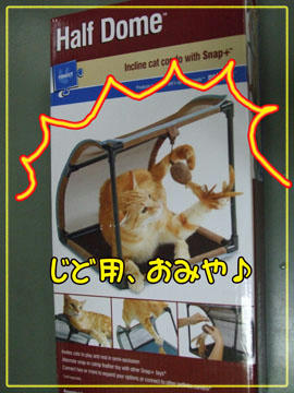 すっかり忘れてたわ～