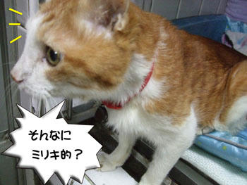そんなおメメをしてもダメですよ～（笑）
