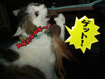 目が血走ってるわ~(@_@;)