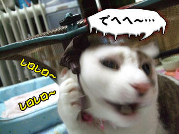 もう、ダメだ~/(´o`)\オーノー!!