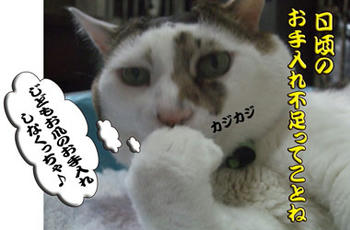 頭の凹みもお手入れしなっ！