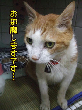 久しぶりだから緊張気味？（笑）