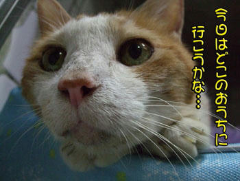 お盆が近づくと、何故か切ない…
