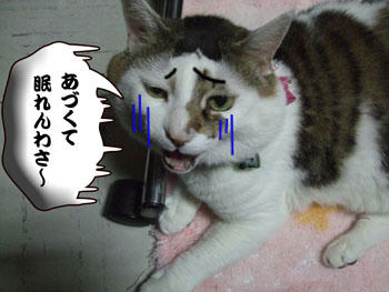 あいや～、情けない顔になっちゃったね～