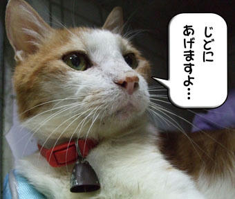 あげようね。。