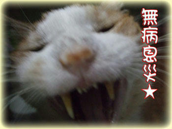 一生懸命、叫んでるぞーーっ！（笑）
