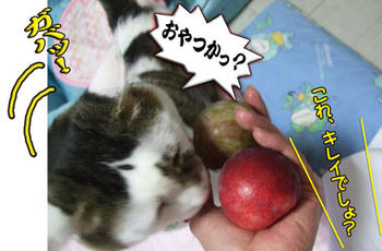 ∑ヾ(￣0￣;ﾉ ｵｰｯﾄ!　いきなり喰い付いた！