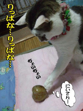 なぜ、ももの次はじどなの？？？