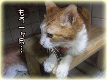 楽しかったあの時間。。
