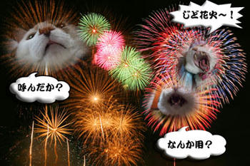 呼んでないわ～