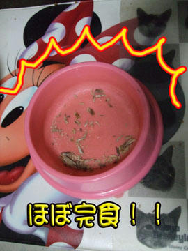 殆ど残しませんよ～(○｀～´○)ﾓｸﾞﾓｸﾞ