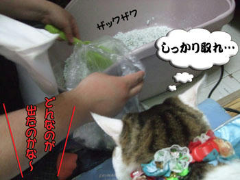 キレイに隠してるわ～