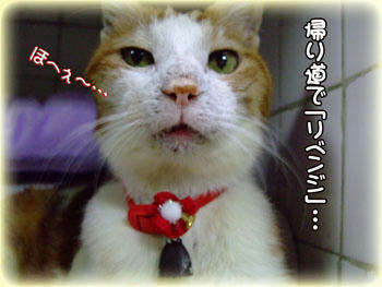 たまちゃん、その呆れたお顔は止めてね～（笑）