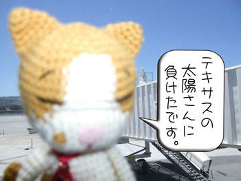灼熱の太陽の仕業？ふふ。。