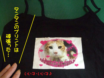 頑張って貼り付いてたね~♪