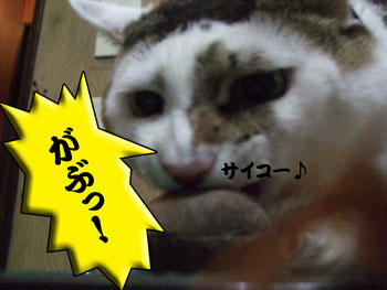 鼻にシワ寄せて喰いついたーーっ！