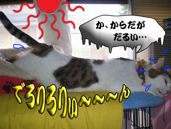 なんで、そんなとこにいるのさ~(怒)