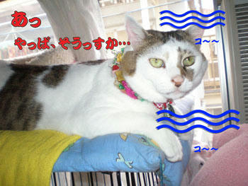 うちよりずーーっと待遇いいさわ(;一_一)