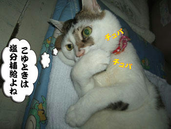 正しいけど、足の裏の塩っけかいっ！