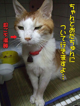 あらら~、かな~りご不満ね(笑)