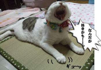 おお、そうか、そうか♪