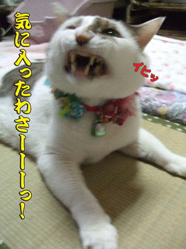また最高の笑顔ね～ｲﾋｯ♪