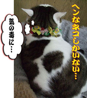 あ・の・ね~~