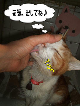 (T^T)(^T )(T )( )( T)( T^)(T^T)ヒュルルル...