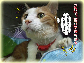 もっちろ～ん♪