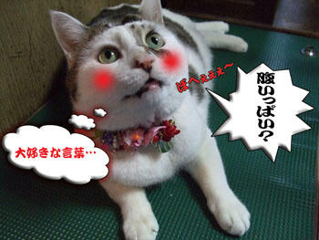 しあわせの言葉よね♪